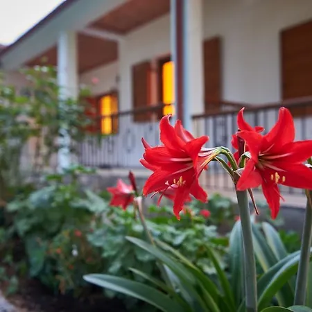 Lejlighed House Rena Vourvourou