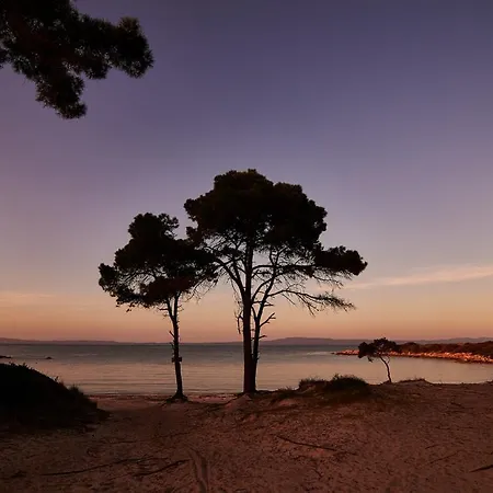 Apartament House Rena *