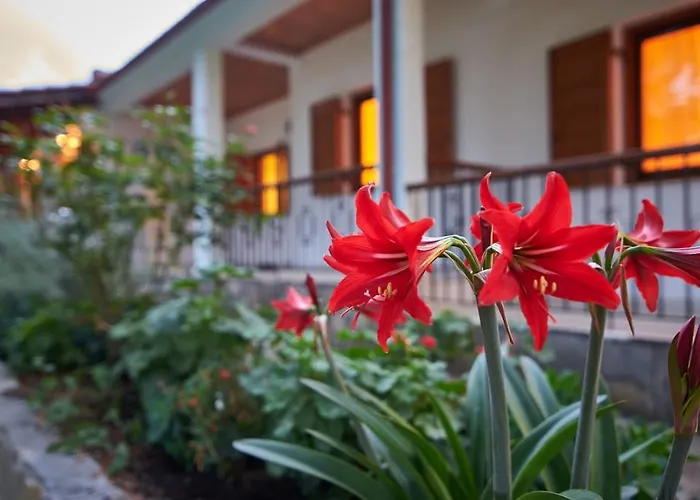 Lejlighed House Rena Vourvourou